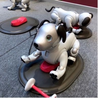 2017 Model Aibo